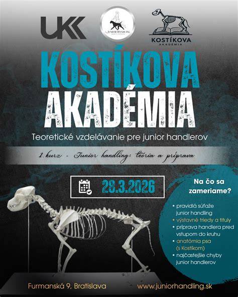 Junior Handling: schéma súťaže a hodnotenia
