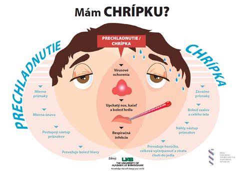Infografika: BAS a súvislé morfologické zmeny horných dýchacích ciest