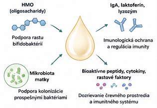 schéma črevného mikrobiomu psa