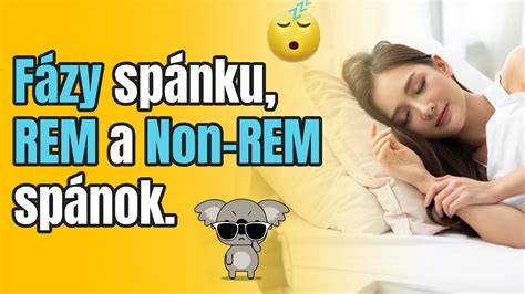 Infografika: Rozdiel REM vs. non-REM spánok u psov a očakávané denné hodiny spánku