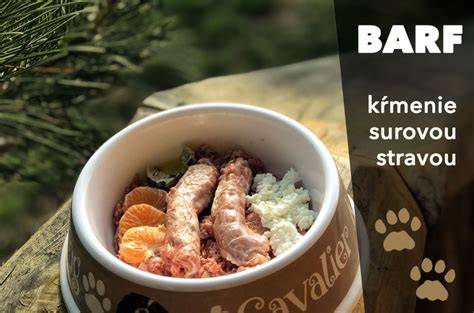 Infografika: Ako funguje BARF kŕmenie a tradičná krmivá