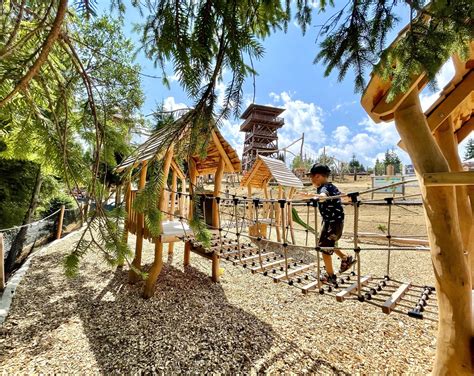 Pes v parku s deťmi