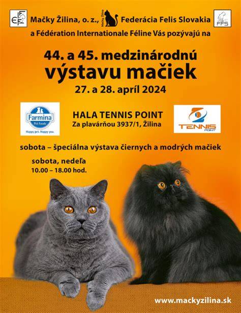 Infografika: Vývin mačiek od plazov po Felis a dôležité rodové členenie