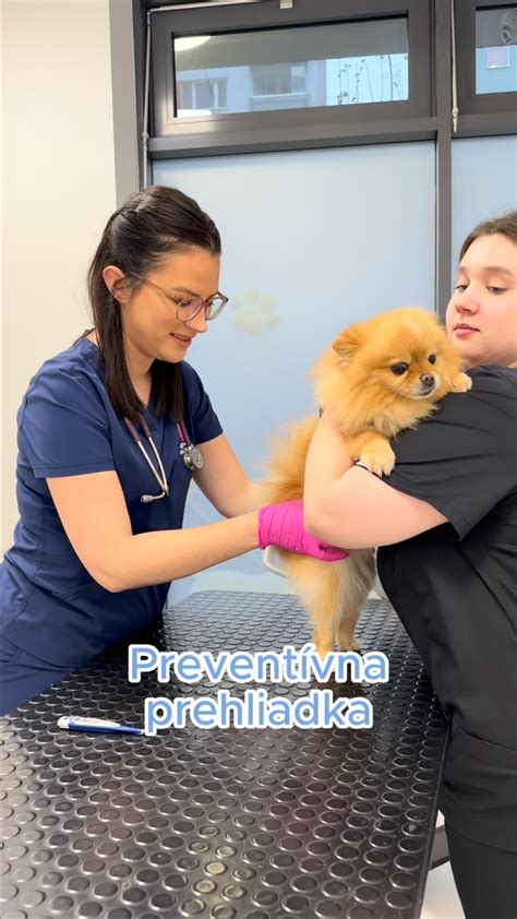 Infografika: Popôrodné obdobie psa a signály na kontaktovanie veterinára
