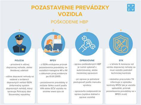 Ilustratívna infografika o záchrannom procese