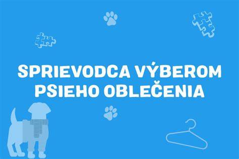 Infografika: Sprievodca výberom obojkov pre psy a ich hlavné typy