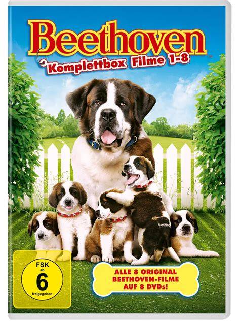 Beethoven film infographic - hlavné postavy a dejová linka