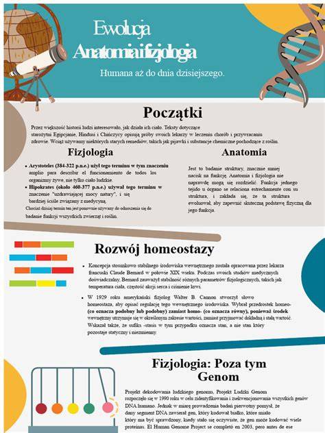 Infografika o anatomii priedušnice a prstencov chrupavky