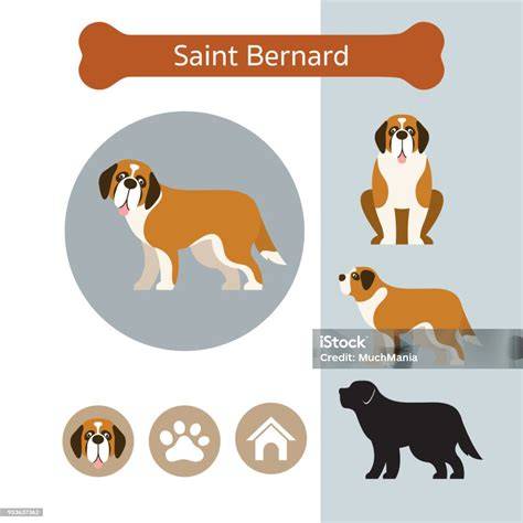 illustration or infographic about mutual interactions of Saint Bernard and children