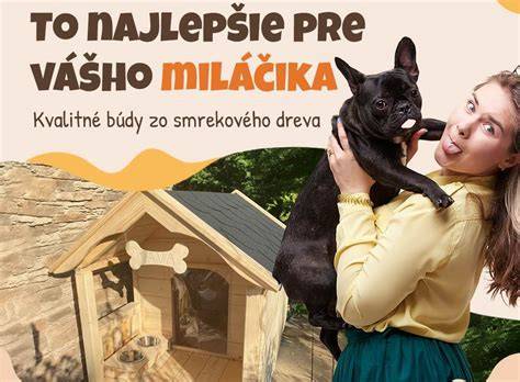 Infografika: odporúčané pomery pre búdu podľa výšky kohútiku psa