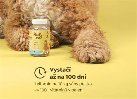 Infografika: Labradoodle - veľkosti, srst a starostlivosť
