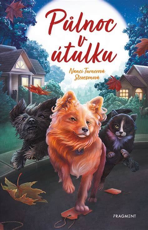 Ilustrácia dielní a pracovných terapií v útulku Košice