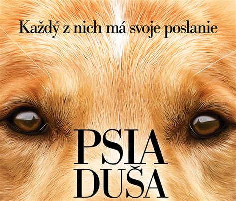 Ilustrácia psa z knihy Psie poslanie