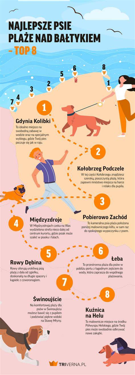 infografika_signaly_psie_dychanie.jpg
