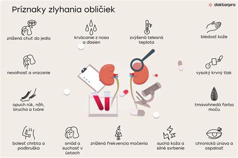 Infografika o funcii nefrónov a priebehu zlyhania obličiek