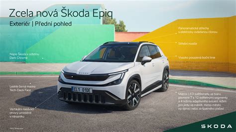 Infografika: Vývoj a exteriér Slovenského čuvača - základné znaky
