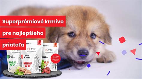 Ilustrácia psa, ktorý sa vyhýba škodlivým potravinám