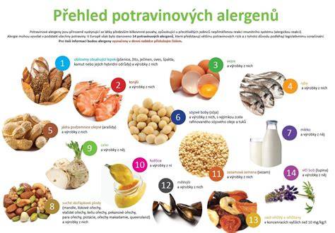 Infografika: typy potravinových alergénov u psa a ich najčastejšie zdroje