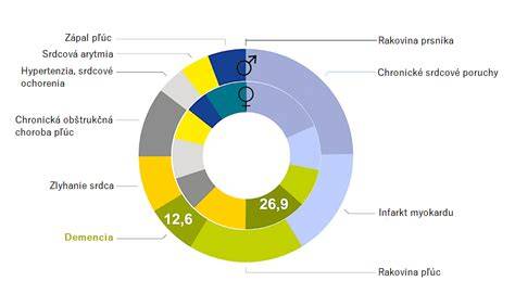 Infografika: Paliatívna starostlivosť u psov s pokročilým ochorením