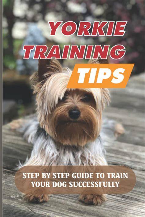 Yorkie training tips