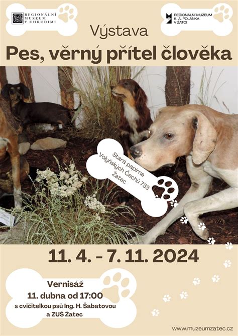 Ilustrácia historických psích zápasov
