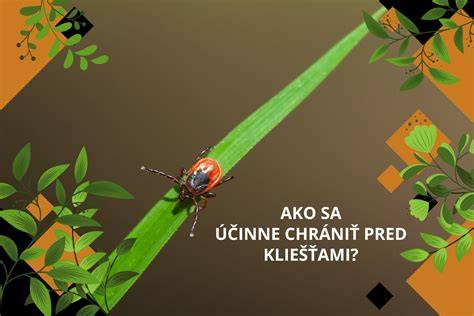 Infografika: Cesty ako chrániť trávnik pred psím močom a najefektívnejšie metódy
