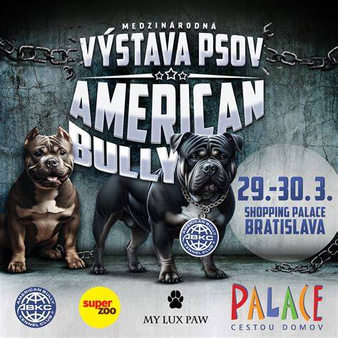 vizualizacia-zmyslov psov