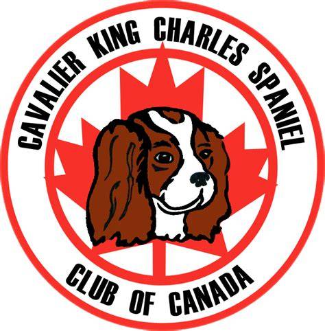 Logo Cavalier King Charles Spaniel Club