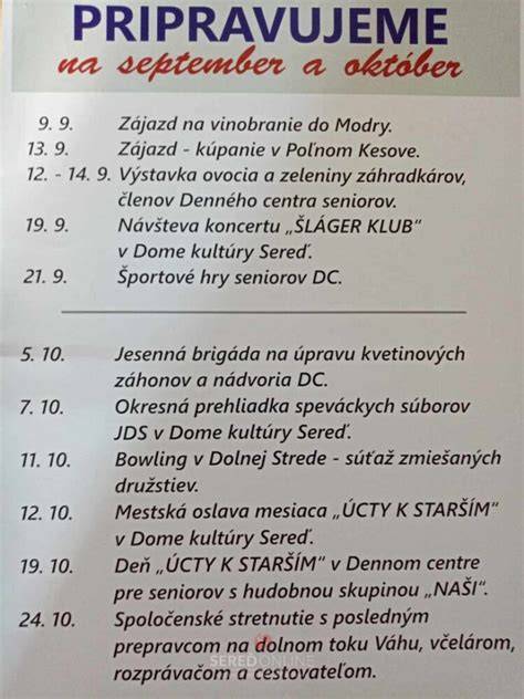 Infografika: Stručný plán denného tréningu pre labradora