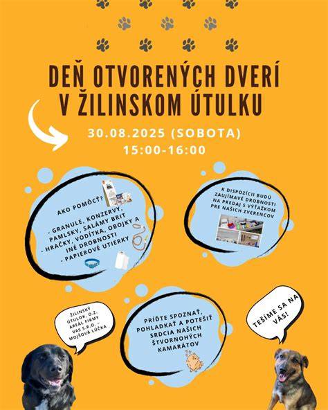 Infografika: Porovnanie dlhého a krátkeho vodítka u prehadzovačiek