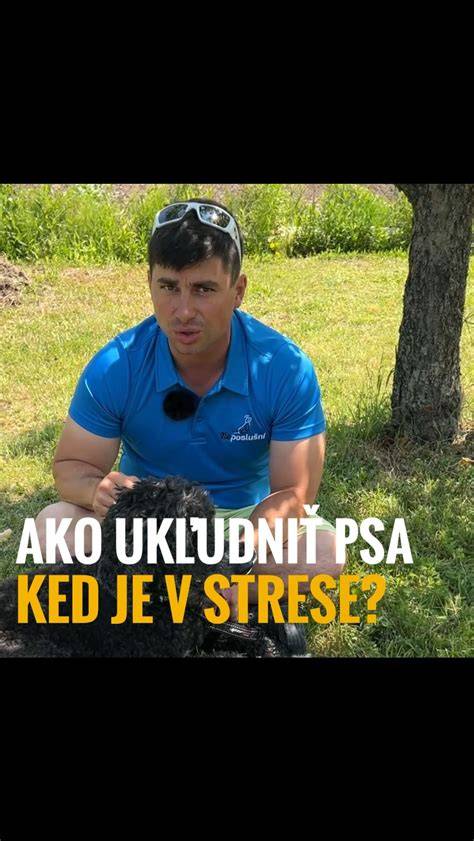 Infografika: Ako rozpoznať šťastného psa a signály stresu