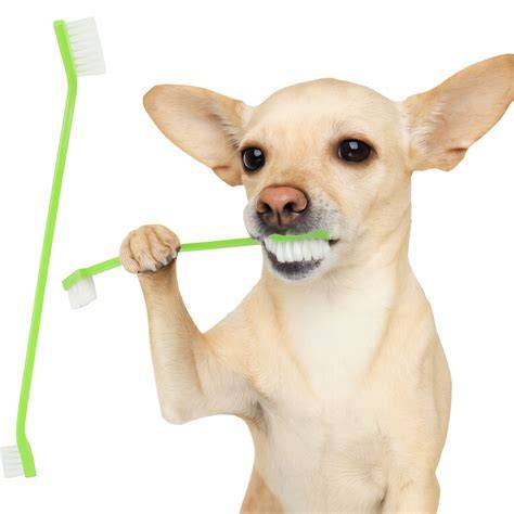 Obrázok: Zubná hygiena psa a dentálny sortiment