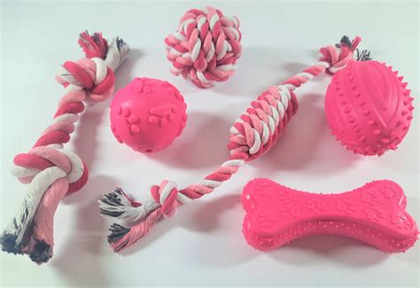 Ilustrácia vhodných hračiek na hryzenie pre psov