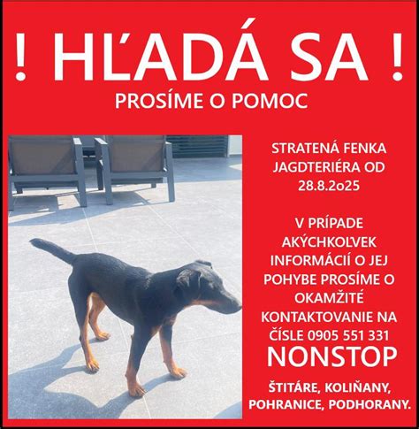 Škriabajúci sa pes