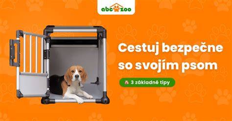 Infografika: Kontrolný zoznam pre cestovanie so psom medzi SR a Rakúskom