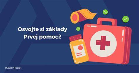 Vizualizácia: Sprievodný obraz o prvej pomoci psom a zakladných objektoch v domácej lekárničke