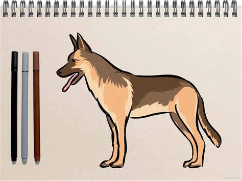 https://example.com/images/drawing-dog-light-shadows-infographic.jpg