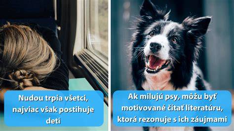 Infografika: Cesty k efektívnemu učeniu čistotnosti u šteniat