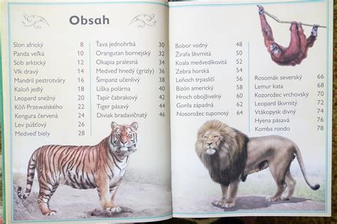 Ukážka ilustrácií z knihy 