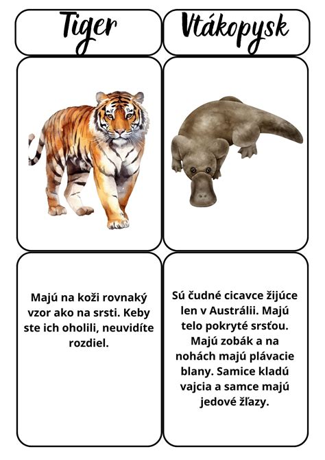 Ilustrácia porovnávajúca mýty a fakty o zvieratách