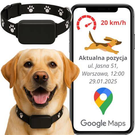 GPS obojok a mapa sledovania
