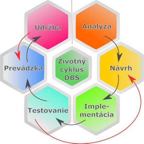 Obrázok: Životný cyklus hárania feny a jeho fázy