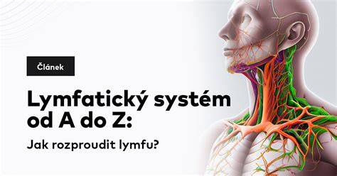 Infografika: Lymfatický systém psa a kde sa môže lymfóm objaviť