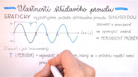 Infografika: Všeobecná charakteristika malého bradáča - výška, hmotnosť, farby srsti a hlavné znaky