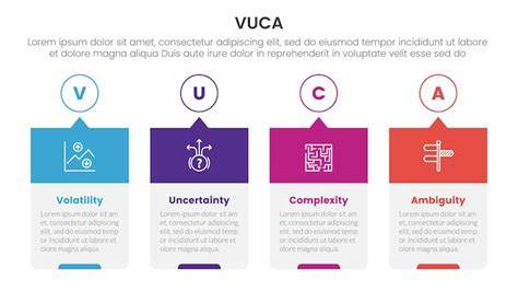 Infografika: Výcvik a socializácia Labradora - procesy a časové rámce