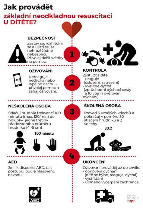 Infografika kreslí 7 krokov prvej pomoci pri KPR psov