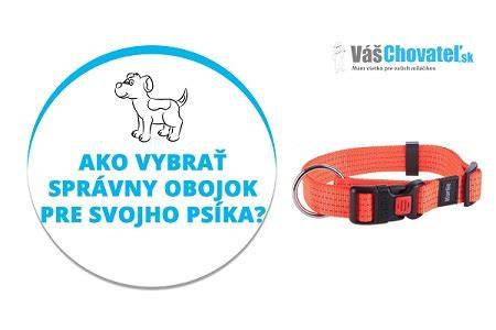Infografika: Ako vybrať správny obojok pre mačky