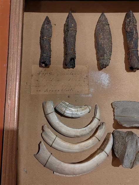 Archeologické nálezy peruánskych civilizácií zobrazujúce psov podobných peruánskemu naháčovi