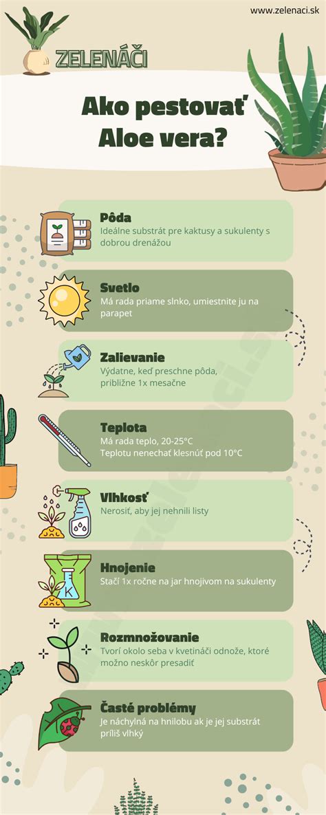 Infografika o bezpečnom užívaní aloe vera