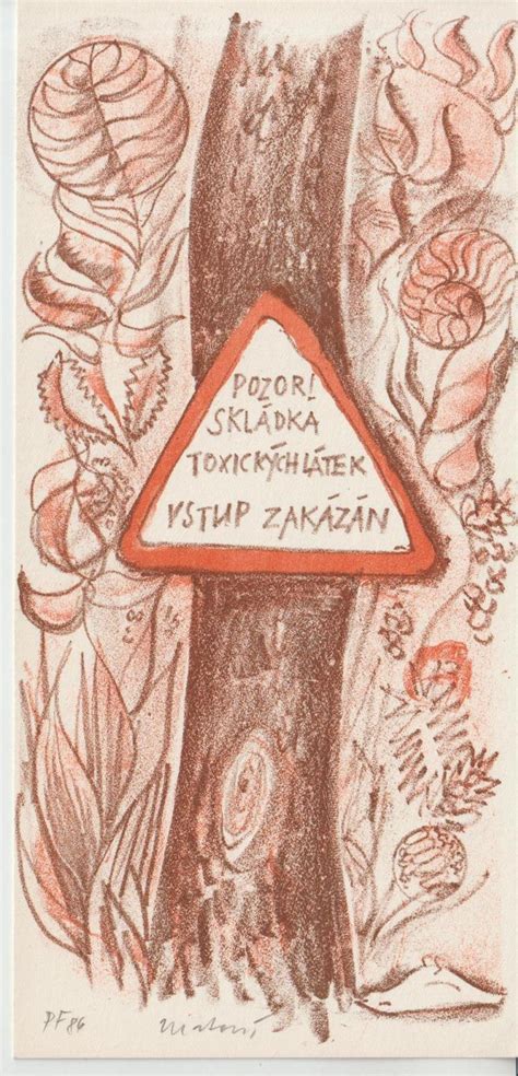 Grafika: typické črtáce znaky a farebná schéma írskych setrov